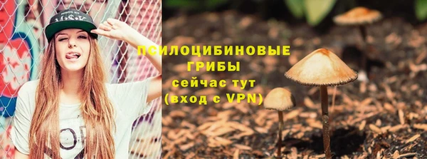 a pvp Медвежьегорск
